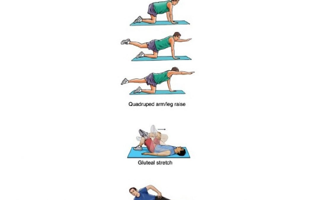 Back Exercises - exercise sheet 2 of 3