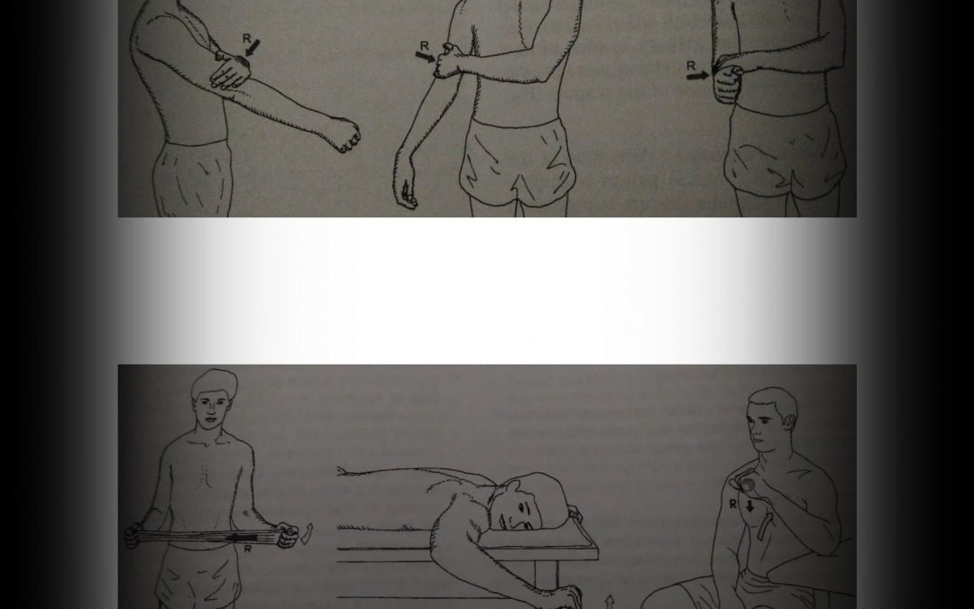 Shoulder Exercises - exercise sheet 4 of 6