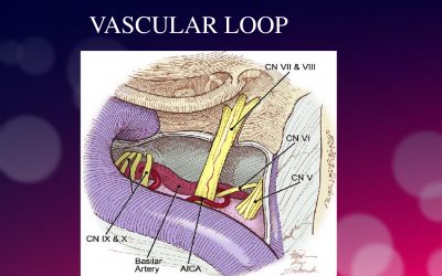 ARTERIAL LOOPS