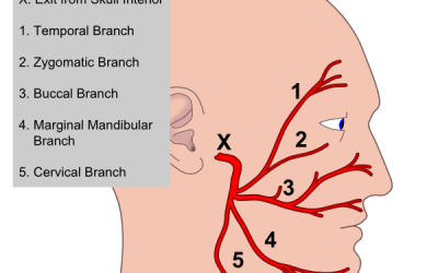 FACIAL PALSY EXERCISES